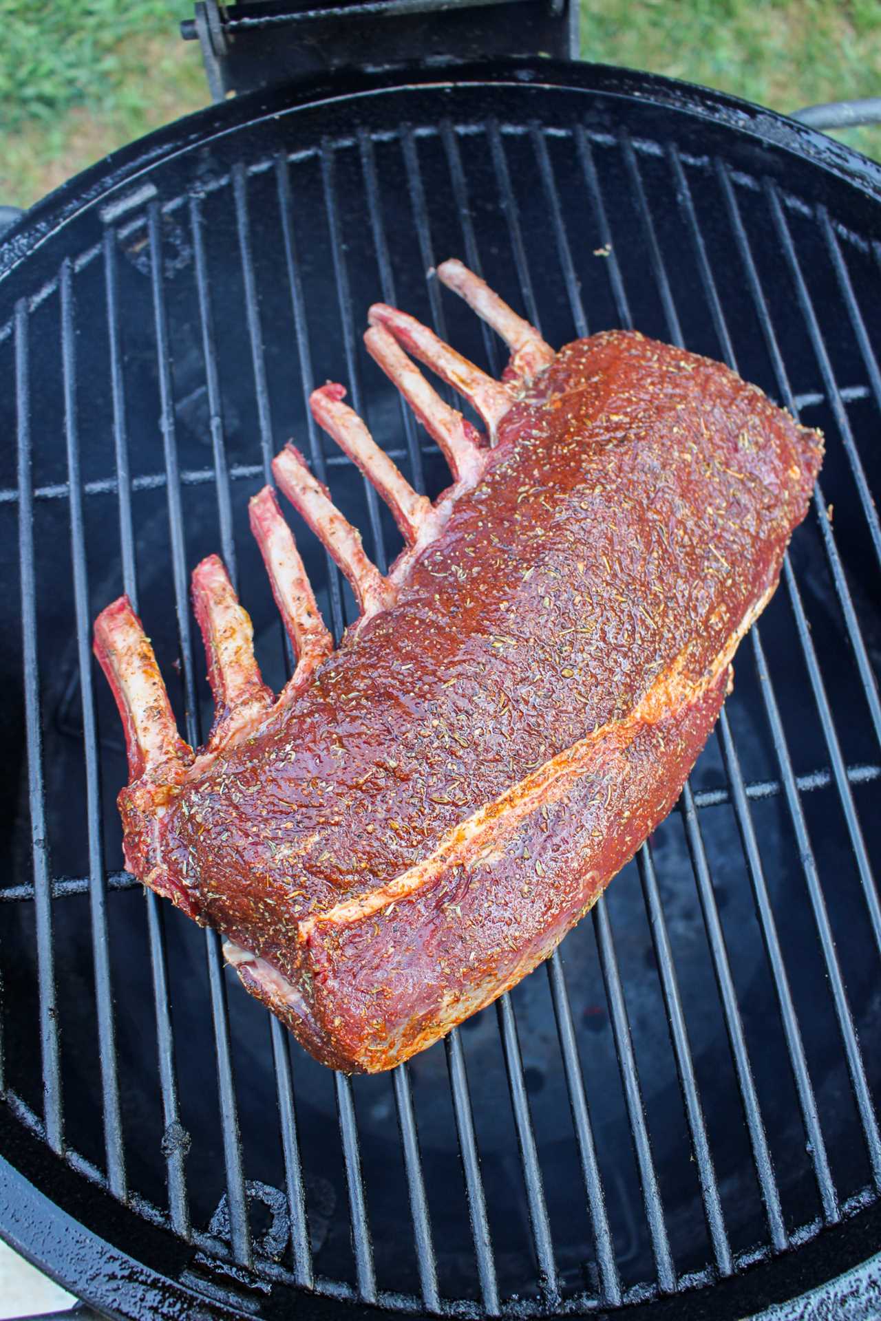 Venison Rack with Wild Herb Butter