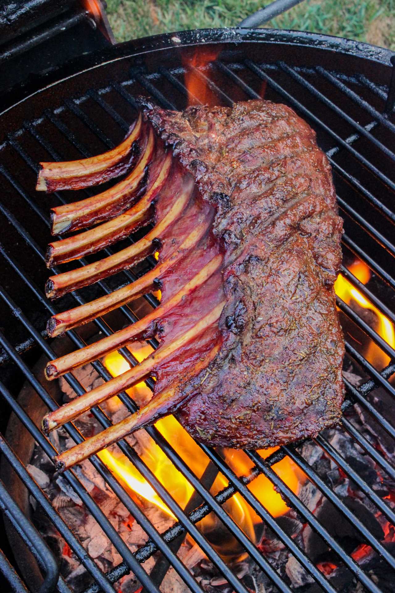 Venison Rack with Wild Herb Butter