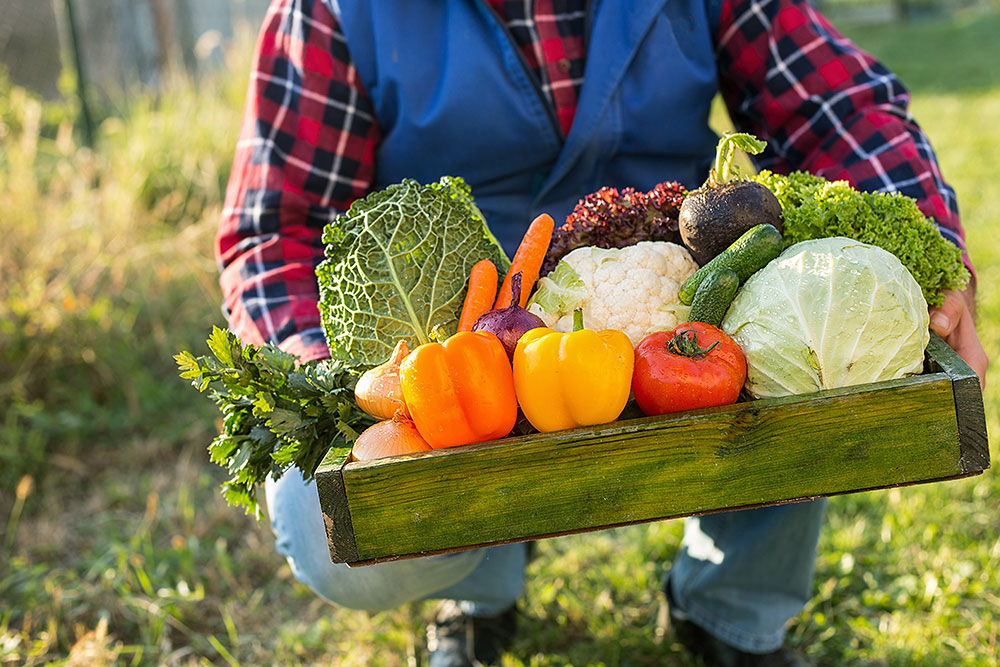 Steven Raichlen’s Farm Stand Challenge: Accept Now!