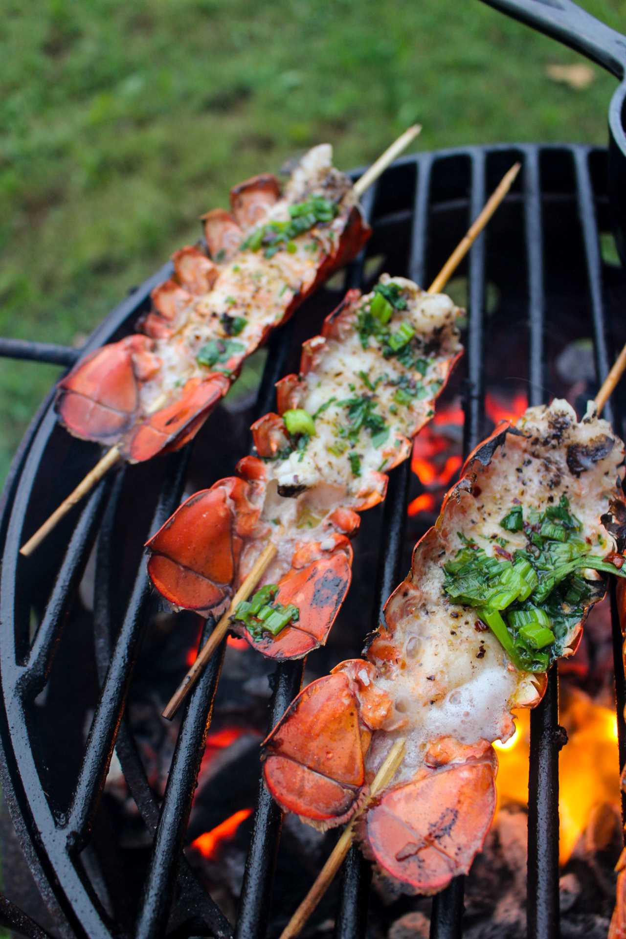 Lobster Skewers with Bang Bang Sauce close up. 