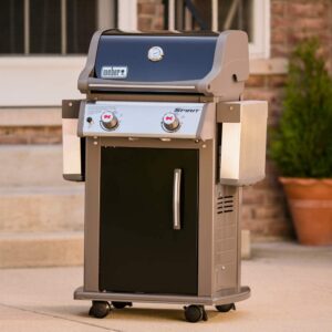 Weber 46110001 Spirit E-210 Gas Grill | Liquid Propane, 2-Burner