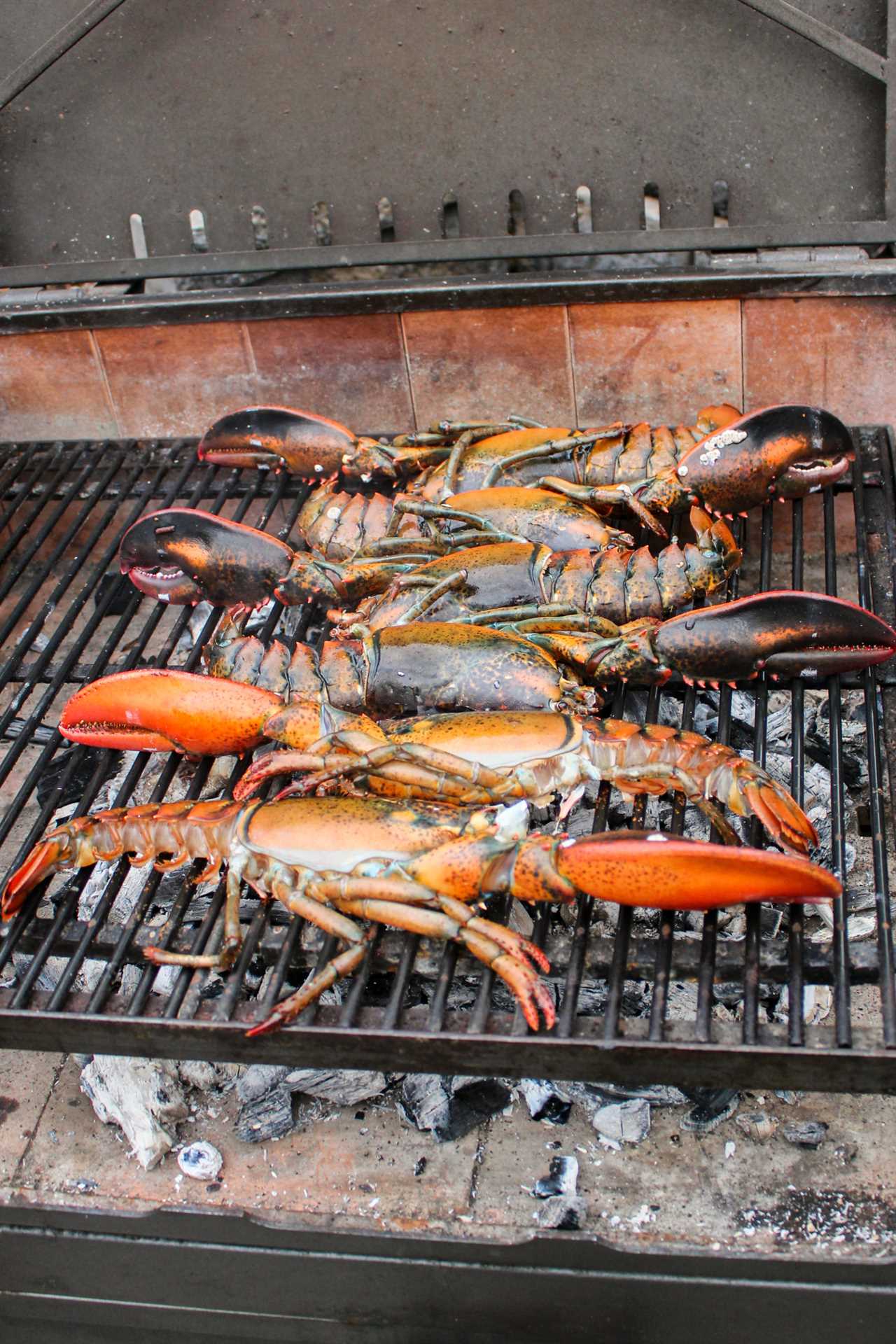 Grilled Garlic Butter Lobster layer out on the grill. 