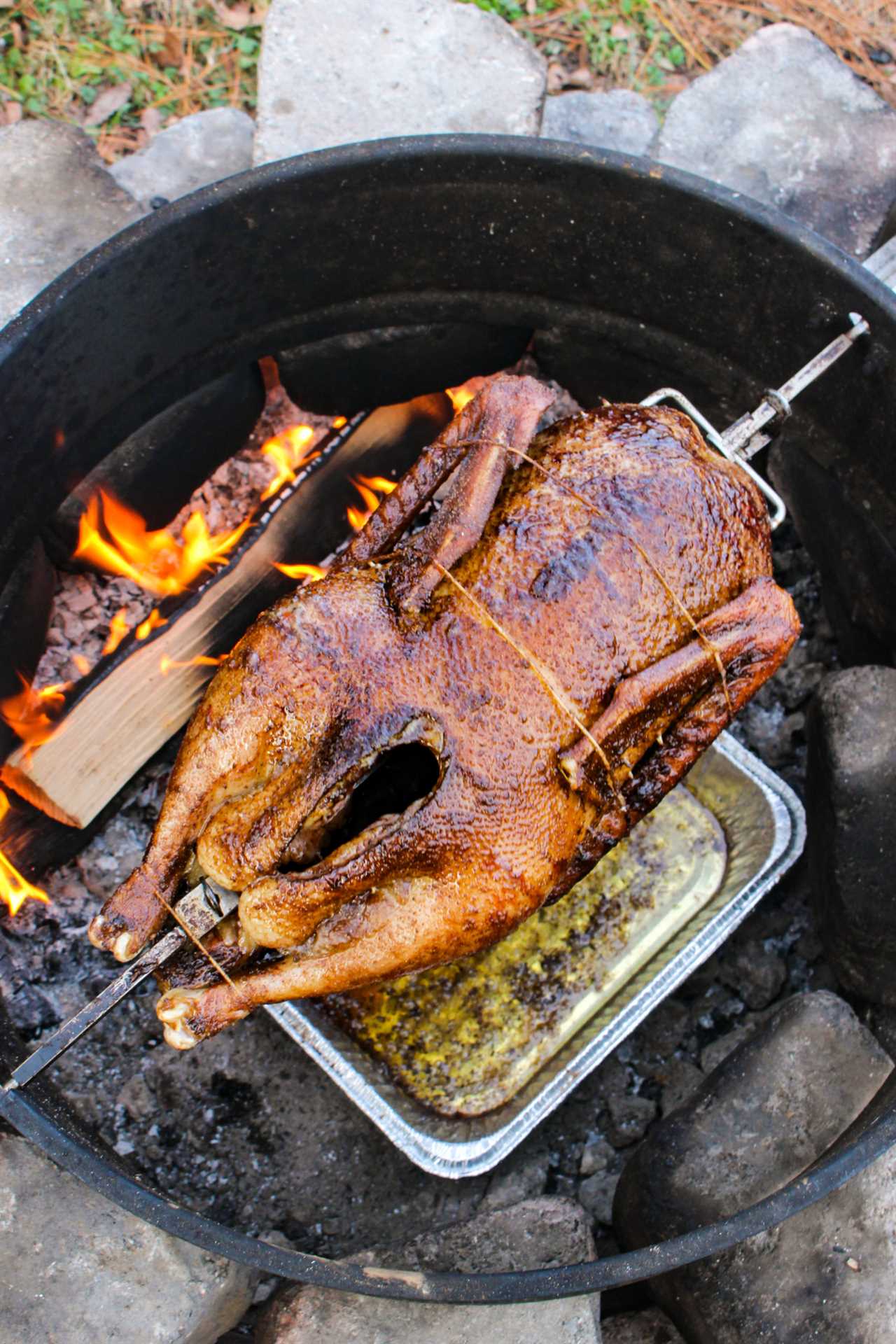 Holiday Rotisserie Goose