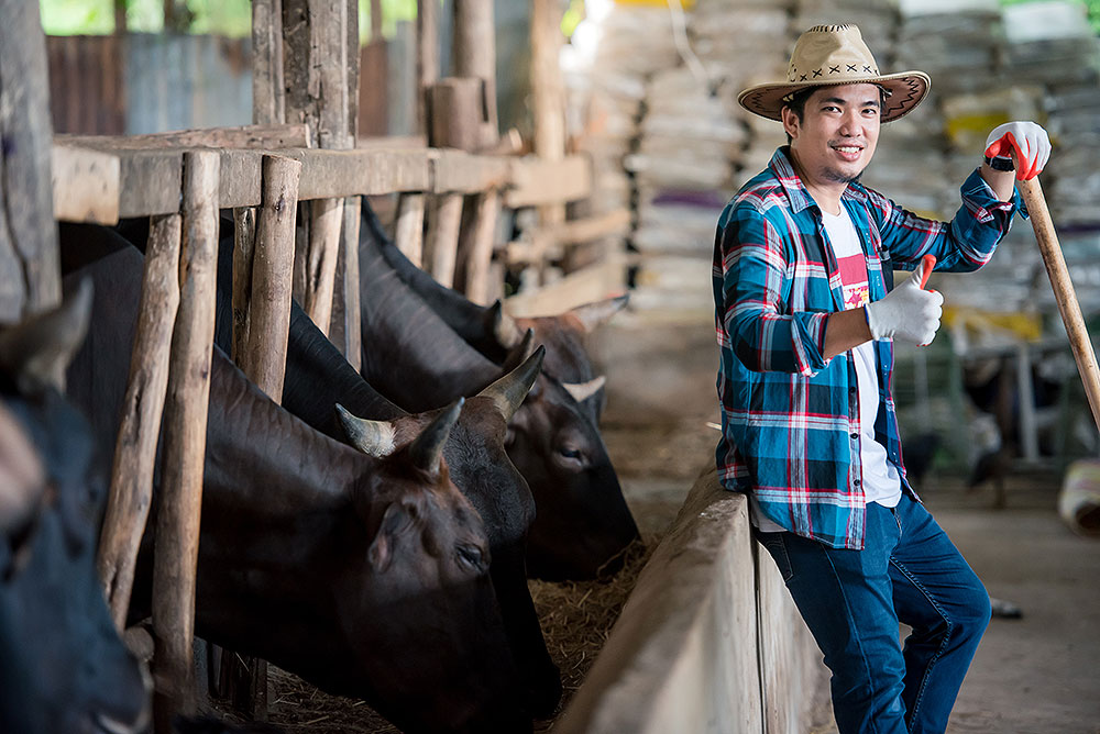 Wagyu Steer and Farmer - BBQ Trends for 2022