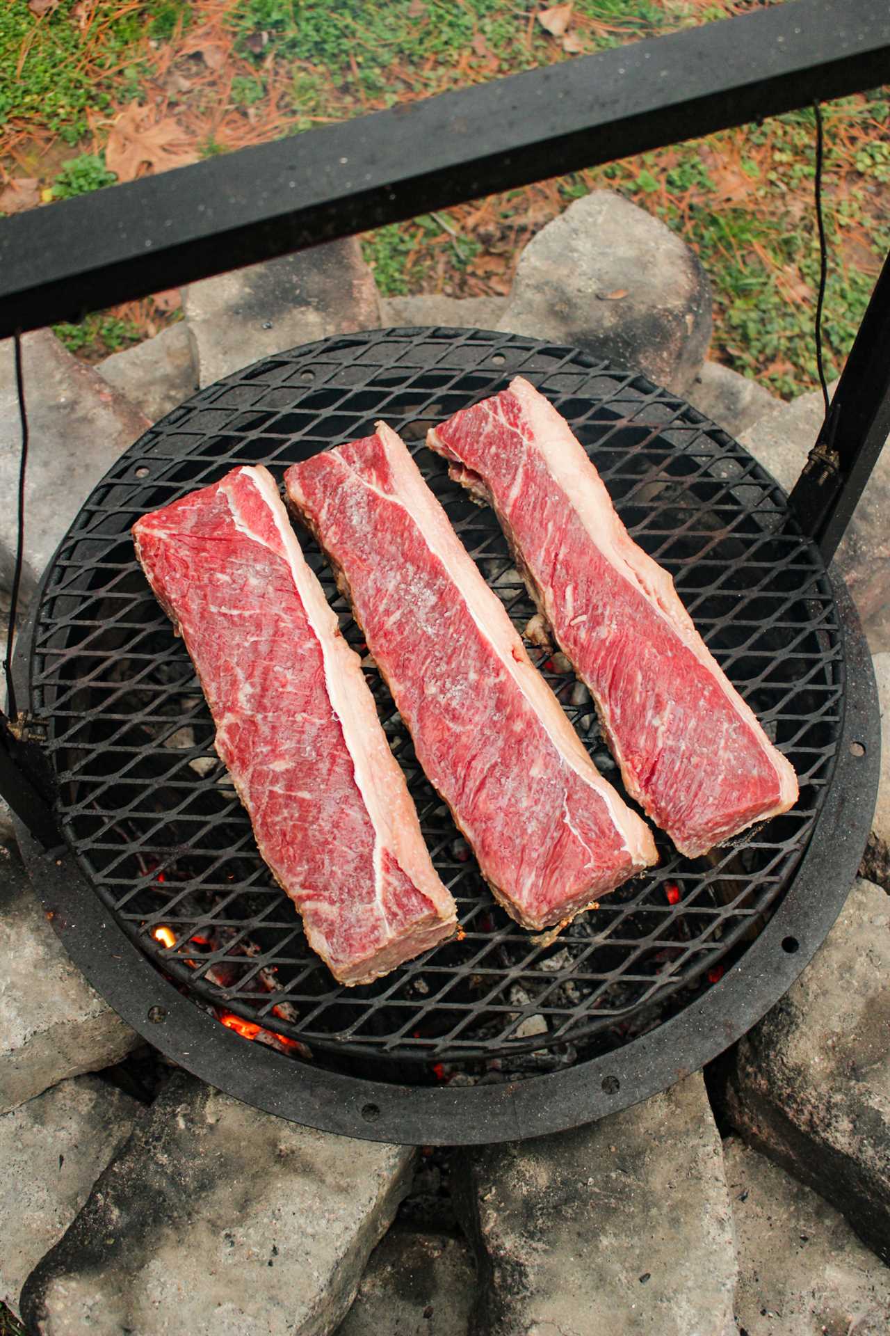 Brazilian Steaks with Habanero Chimichurri when they're first placed on the grill. 