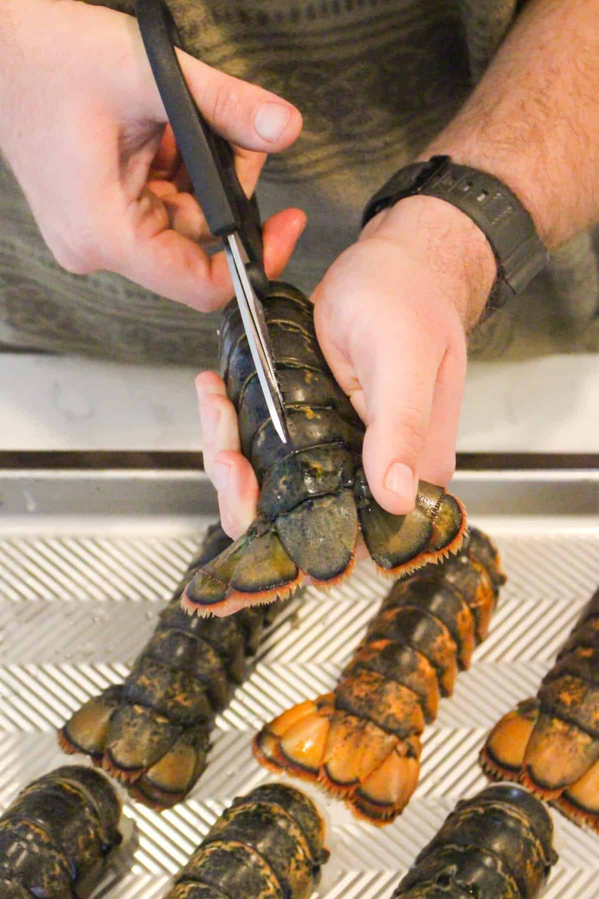 Cutting into the lobster to butterfly the meat.