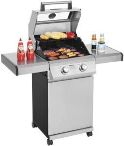 Monument Grills 2 Burners Propane Gas Grill Outdoor Cooking Stainless Steel BBQ Grills