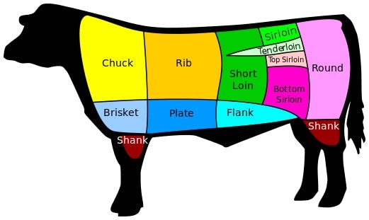 Brisket Cut Diagram