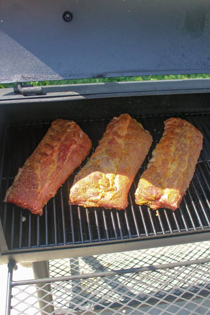 Starting to smoke the ribs