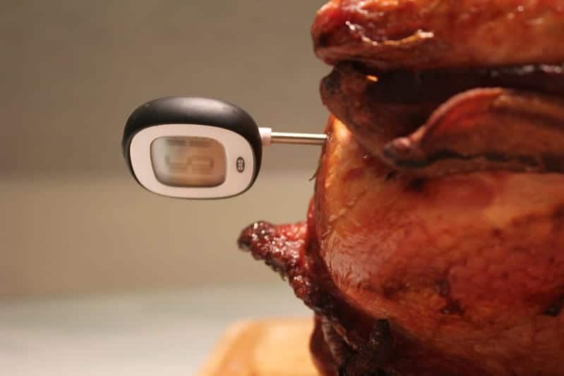 where to put meat thermometer in turkey