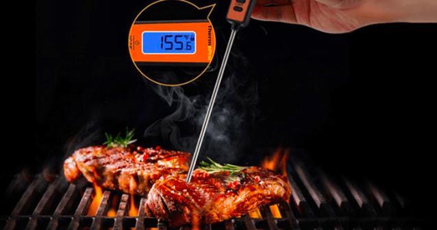 Best Smoker Thermometers