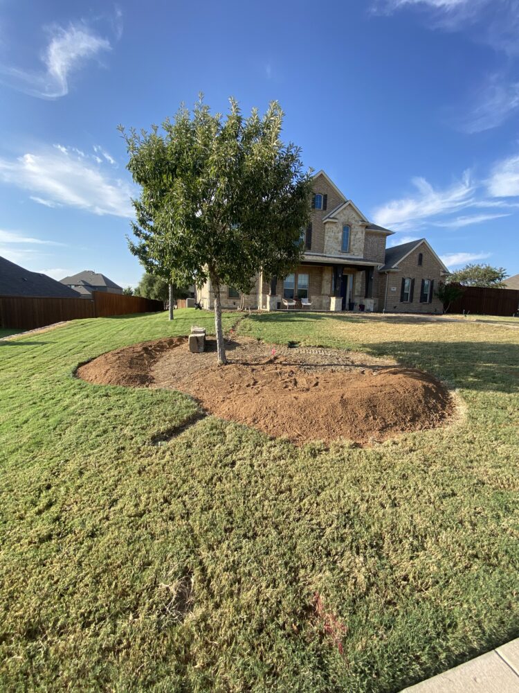 Texas Outdoor Oasis Unveils a Stunning Project in Sunnyvale, Texas